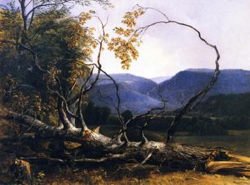 Study from Nature, Stratton Notch, Vermont Artwork by Asher B. Durand