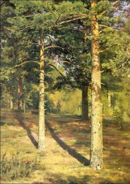 Sunny Pine-tree (etude) Artwork by Ivan Ivanovich Shishkin