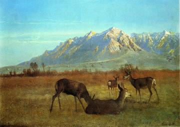 Deer in a Mountain Home Artwork by Albert Bierstadt