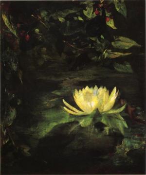 Water Lily Artwork by John La Farge
