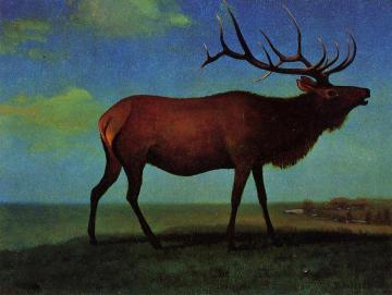 Elk Artwork by Albert Bierstadt