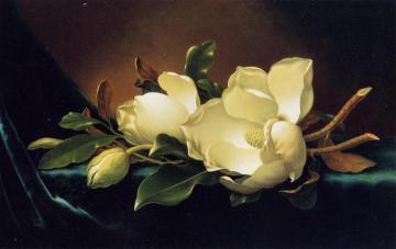 Two Magnolias and a Bud on Teal Velvet Artwork by Martin Johnson Heade