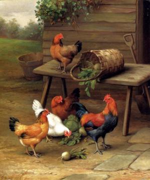 Poultry In A Barnyard Artwork by Edgar Hunt