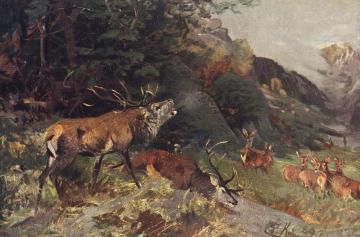 Deer Fight Artwork by Christian Johann Kroner