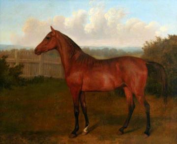 Colt of Mare and Arab Horse Artwork by Jacques-Laurent Agasse