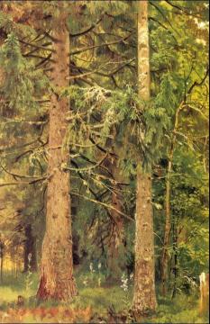 Firry Forest (etude) Artwork by Ivan Ivanovich Shishkin