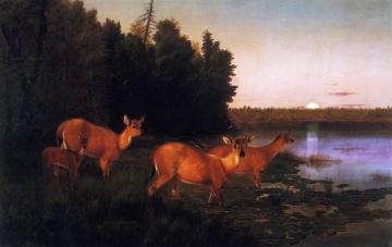 Deer At Dawn Artwork by William Jacob Hays
