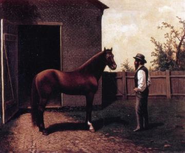 Dt. Diehl And Morgan Horse In Louisville Kentucky Artwork by William Aiken Walker