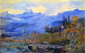 Deer Grazing Artwork by Charles Marion Russell