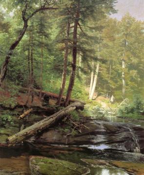 A Bear Approaching a Forest Stream Artwork by Herman Herzog