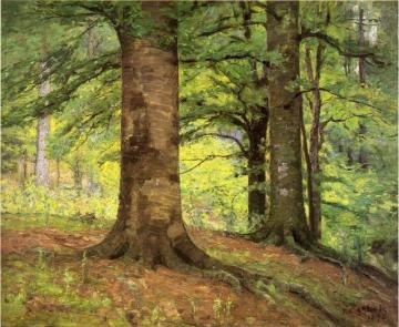 Beech Trees Artwork by Theodore Clement Steele
