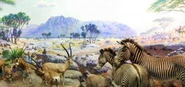 Waterhole Group Artwork by William Robinson Leigh