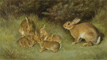 Rabbits Artwork by Frank Paton