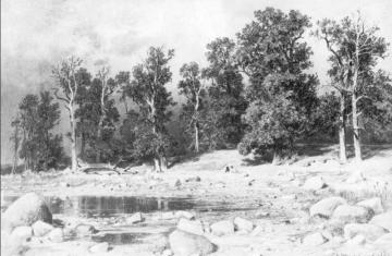 Shore Of Oak Grove Of Peter The Great In Sestroretsk Artwork by Ivan Ivanovich Shishkin