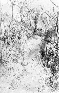 Path Lined With Bare Hedges Artwork by Adolph von Menzel