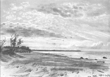 Coast Of A Sea, Mery-hovy Artwork by Ivan Ivanovich Shishkin