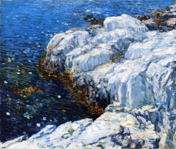 Jelly Fish Artwork by Frederick Childe Hassam