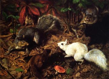 Squirrels Artwork by William Holbrook Beard
