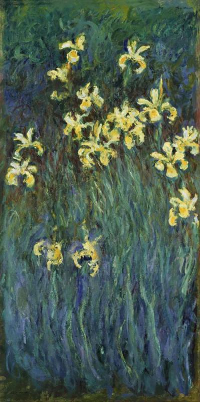 Yellow Irises Artwork by Claude Oscar Monet