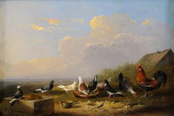 Colorful Feathers Artwork by Francois van Severdonck