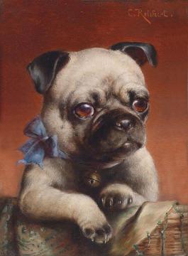 Young Pug Artwork by Carl Reichert