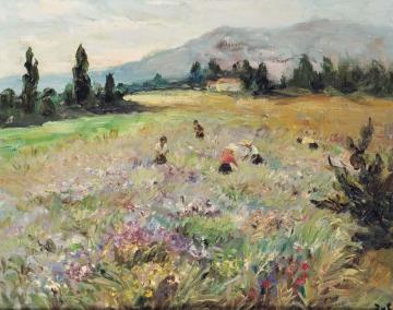 Fields On The French Riviera Artwork by Marcel Dyf