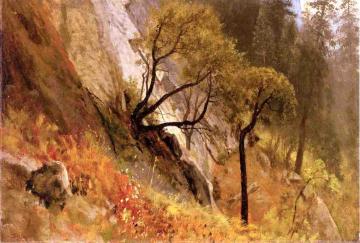 Landscape Study: Yosemite, California Artwork by Albert Bierstadt