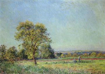 A Summer's Day Artwork by Alfred Sisley