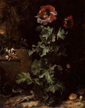 Still Life with Snake and Lizard Artwork by Otto van Schrieck