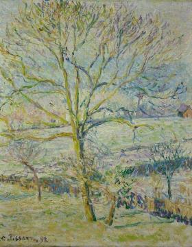 Walnut (tree) Artwork by Camille Pissarro