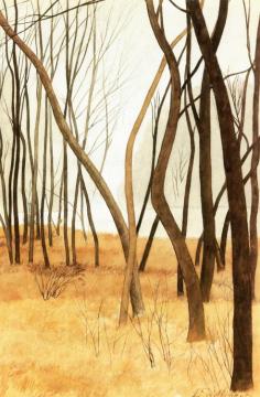 Trees Artwork by Leon Spilliaert