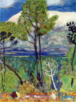 Pines, by the Sea Artwork by Pierre Bonnard