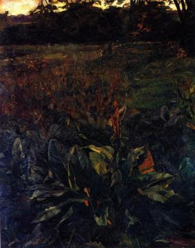 Plant Study In Park Hemsbach Artwork by Wilhelm Trübner