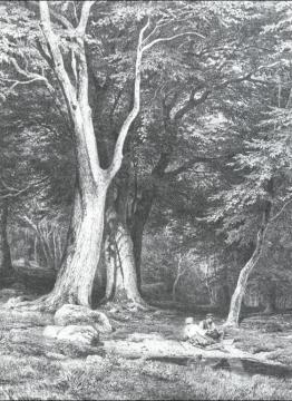 Rest In A Forest Artwork by Ivan Ivanovich Shishkin