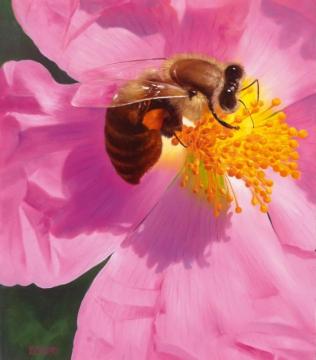 Bee Artwork by Heinz Scholnhammer