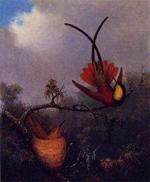 Crimson Topaz Artwork by Martin Johnson Heade