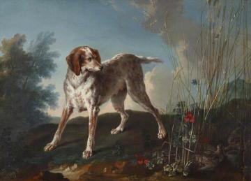 A Pointer And Partridges Artwork by Jean-Baptiste Oudry