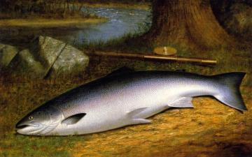 The Successful Catch Artwork by Walter M. Brackett