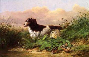Setter and Woodcock Artwork by Arthur Fitzwilliam Tait