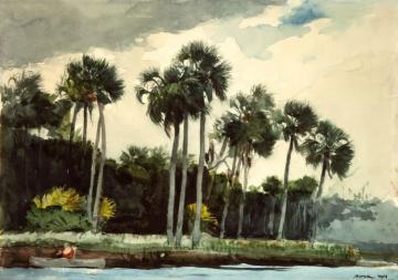 Red Shirt, Homosassa, Florida Artwork by Winslow Homer
