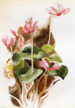 Cyclamen Artwork by Charles Demuth