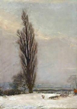Allestree Poplar Artwork by Ernest Townsend