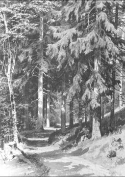 Path In A Forest Artwork by Ivan Ivanovich Shishkin