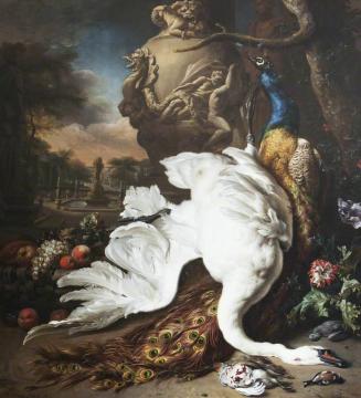 A Dead Swan And Peacock Artwork by Jan Weenix