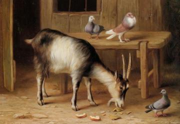 A Goat and Pigeons In a Farmyard Artwork by Edgar Hunt