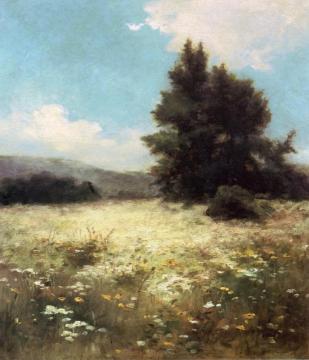 Meadow With Queen Anne's Lace Artwork by William John Whittemore