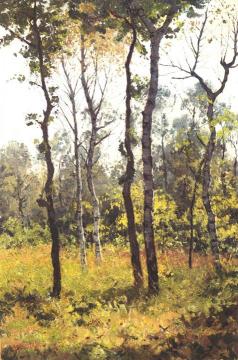 Yellow Wood Artwork by Luigi Comoli