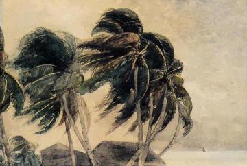 A Norther - Key West Artwork by Winslow Homer