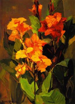 Canna Lilies Artwork by Franz Bischoff