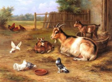 A Farmyard Scene with goats, chickens, doves Artwork by Edgar Hunt